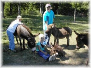 Family with miniature donkeys