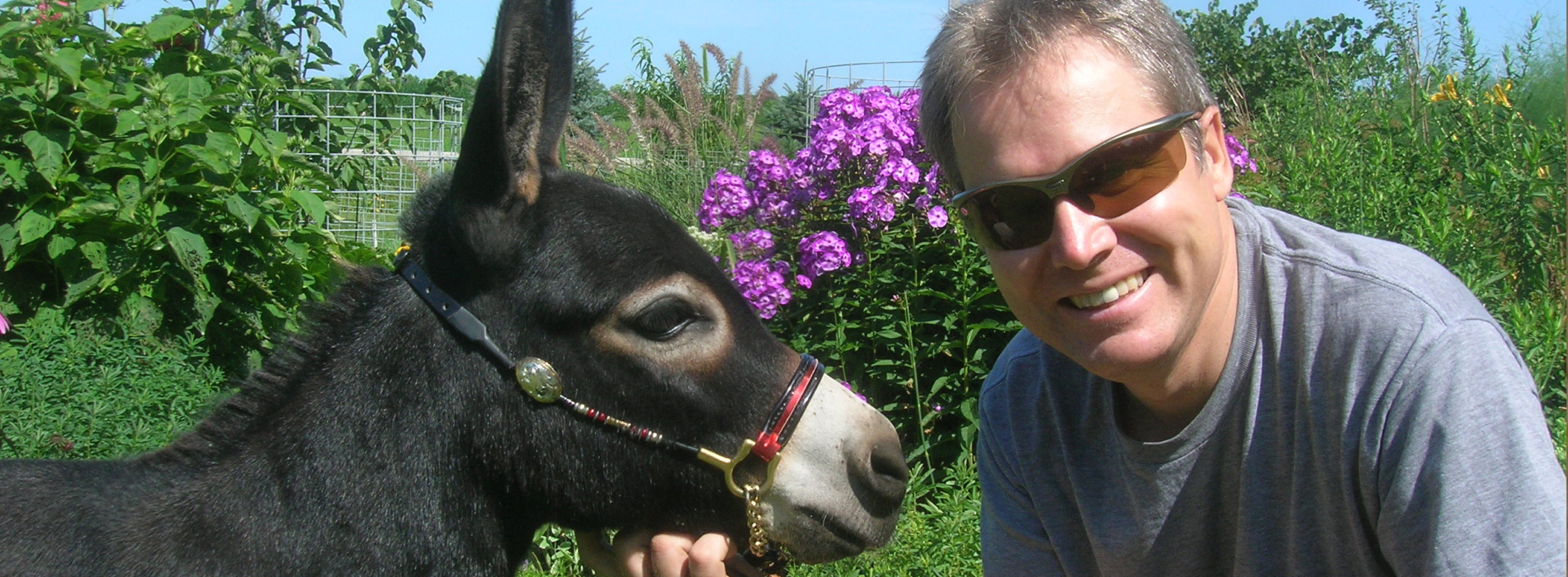 donkey trail class